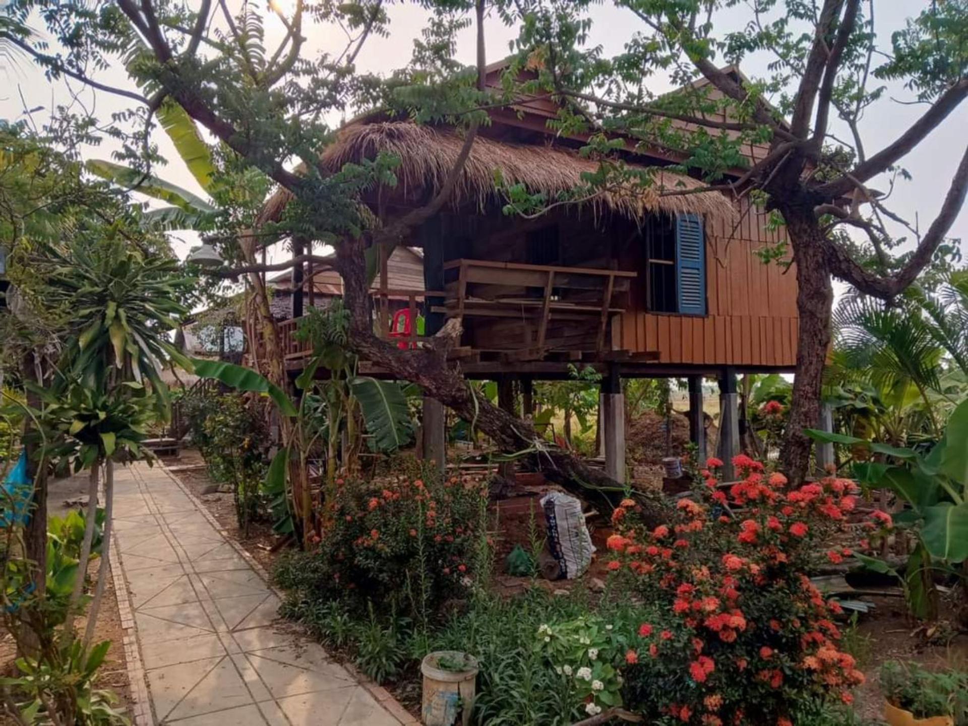 Family Batcave Homestay Battambang Kültér fotó